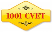 1001 Cvet